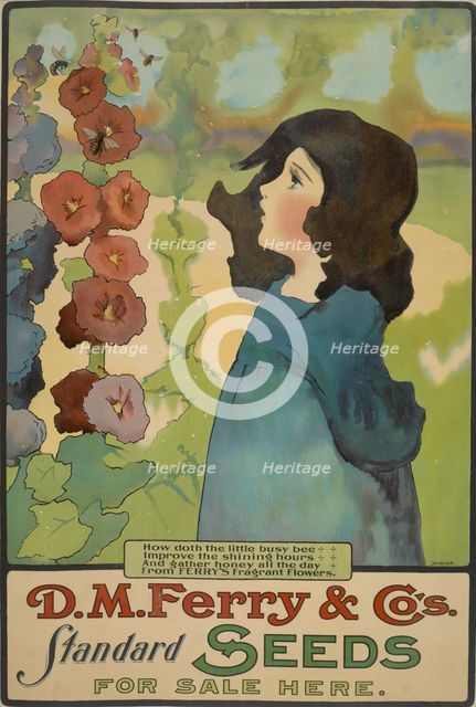 D. M. Ferry & Co's. standard seeds, c1895 - 1917. Creator: Unknown.