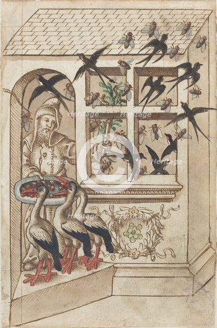 Do Not Have Swallows under the Same Roof [fol. 40 recto], c. 1512/1514. Creator: Unknown.
