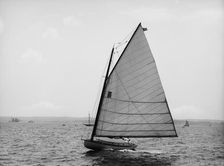 Dot, 1899 June 20. Creator: John S Johnston