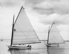 Dot and Kit, 1899 June 17. Creator: John S Johnston