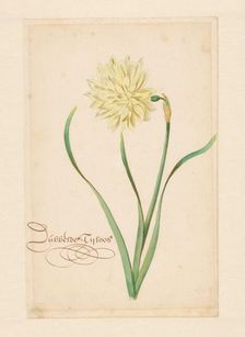 Double, 1650-1699. Creator: Anon