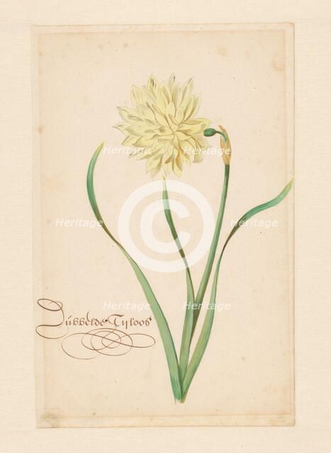 Double, 1650-1699. Creator: Anon.