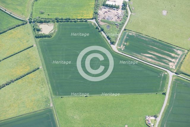 Double ditched enclosure cropmark, near Burgh le Marsh, Lincolnshire, 2015. Creator: Historic England Staff Photographer.