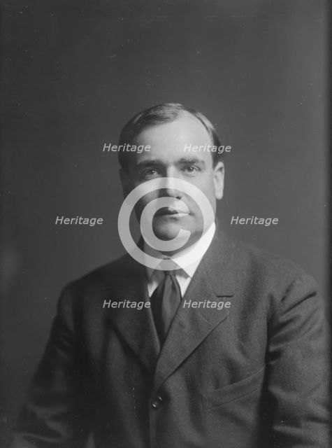 Doubleday, Felix, Mr., portrait photograph, 1915 Mar. 9. Creator: Arnold Genthe.