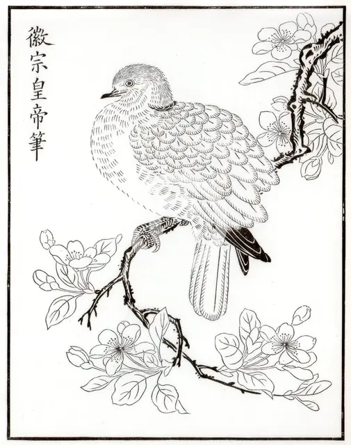 Dove, 1886. Artist: Unknown