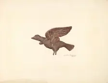Dove, c. 1940. Creator: Sarkis Erganian