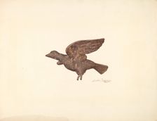 Dove, c. 1940. Creator: Sarkis Erganian