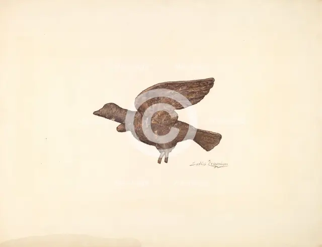 Dove, c. 1940. Creator: Sarkis Erganian.