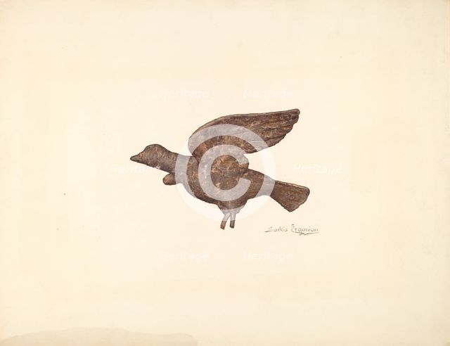 Dove, c. 1940. Creator: Sarkis Erganian.