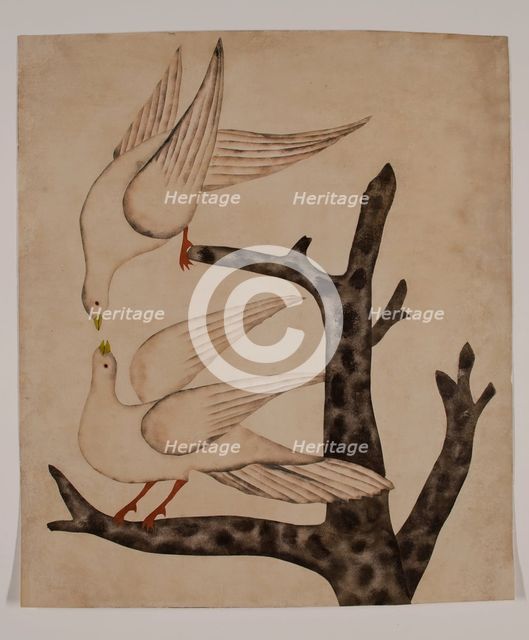 Doves, c1820. Creator: Unknown.