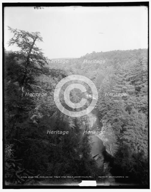 Down the Analomink from high rock, Henryville, Pa., between 1890 and 1901. Creator: Unknown.