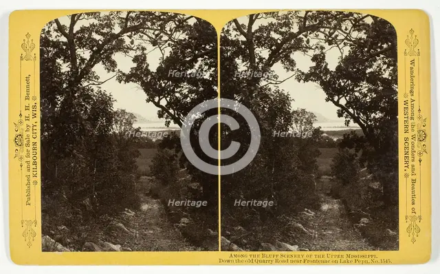 Down the old Quarry Road near Frontenac on Lake Pepn, 1870/1908. Creator: Henry Hamilton Bennett.