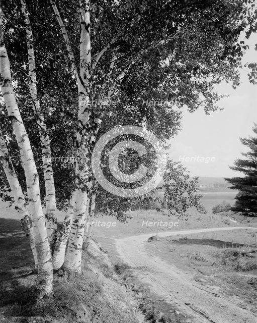 Down the road and far away, c.between 1910 and 1920. Creator: Unknown.