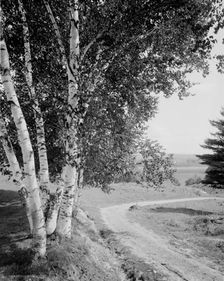 Down the road and far away, c.between 1910 and 1920. Creator: Unknown