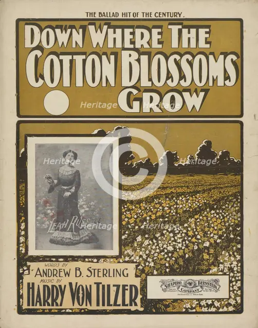 'Down where the cotton blossoms grow', 1901. Creator: Unknown.