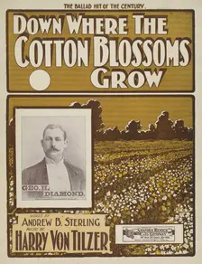 Down where the cotton blossoms grow 1901. Creator: Unknown