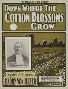 Down where the cotton blossoms grow 1901. Creator: Unknown