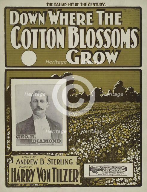 'Down where the cotton blossoms grow', 1901.  Creator: Unknown.
