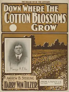 Down where the cotton blossoms grow 1901. Creator: Unknown