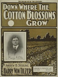 Down where the cotton blossoms grow 1901. Creator: Unknown