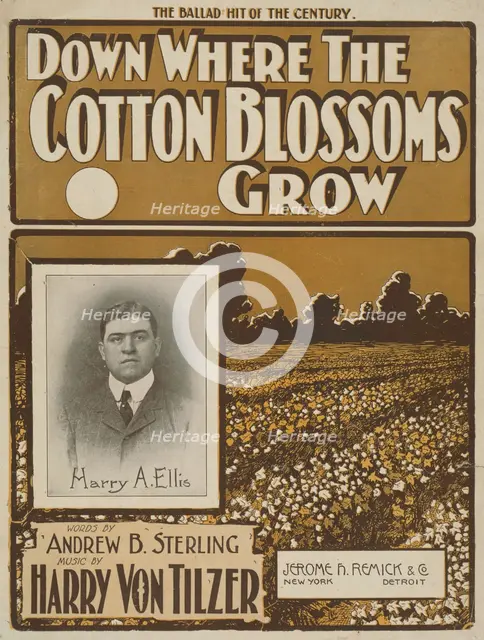 'Down where the cotton blossoms grow', 1901.  Creator: Unknown.