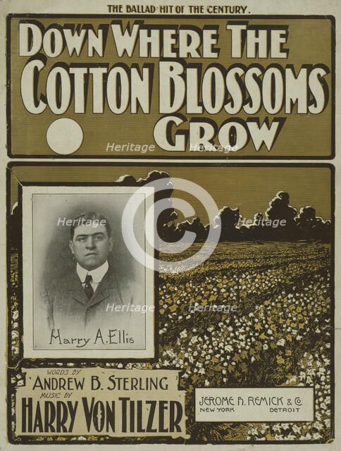 'Down where the cotton blossoms grow', 1901.  Creator: Unknown.