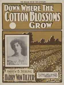 Down where the cotton blossoms grow 1901. Creator: Unknown