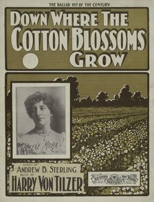 Down where the cotton blossoms grow 1901. Creator: Unknown