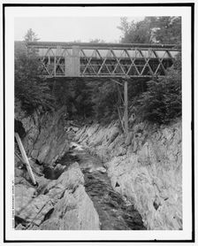 Down Brookway i.e. Brockway gorge, Vt., between 1900 and 1906. Creator: Unknown
