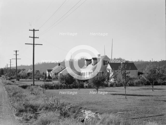 Down one street on Longview homestead project, Cowlitz County, Washington, 1939. Creator: Dorothea Lange.