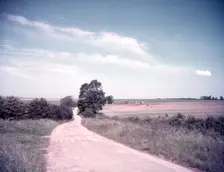 Downland scene near Aldworth, Berkshire, c1955. Creator: Arthur Charles Kirby Ware