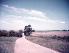 Downland scene near Aldworth, Berkshire, c1955. Creator: Arthur Charles Kirby Ware