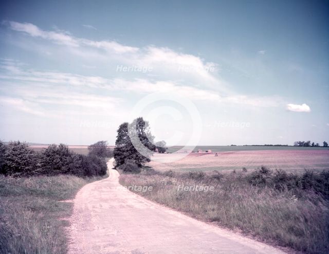 Downland scene near Aldworth, Berkshire, c1955.  Creator: Arthur Charles Kirby Ware.