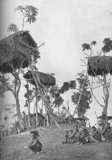 Dobos, tree houses for unmarried women in Melanesia, 1902. Artist: W Lindt