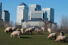 Docklands and Canary Wharf, London, England, UK, 2/3/10. Creator: Ethel Davies
