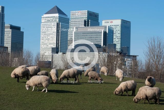Docklands and Canary Wharf, London, England, UK, 2/3/10. Creator: Ethel Davies.
