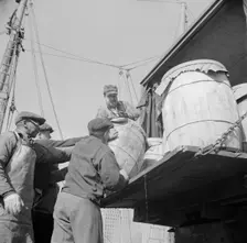 Dock worker at the Fulton fish market loading fish that have been caught..., New York, 1943. Creator: Gordon Parks