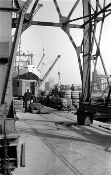 Dock workers and cargo, Royal Victoria Dock, London, c1945-c1965. Artist: SW Rawlings