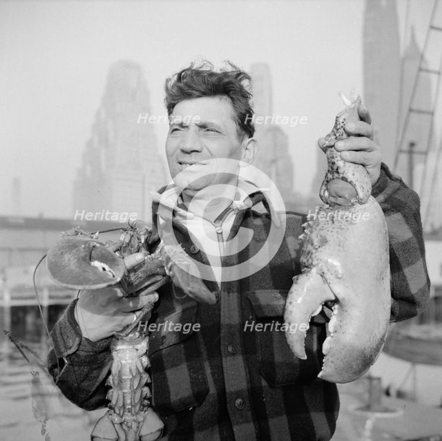Dock stevedore at the Fulton fish market holding giant lobster claws, New York, 1943. Creator: Gordon Parks.