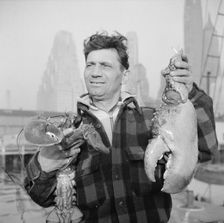 Dock stevedore at the Fulton fish market holding giant lobster claws, New York, 1943. Creator: Gordon Parks