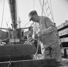 Dock stevedores at the Fulton fish market sending up baskets of fish..., New York, 1943. Creator: Gordon Parks