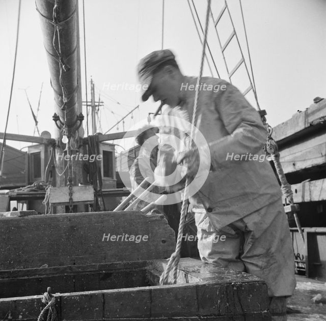 Dock stevedores at the Fulton fish market sending up baskets of fish..., New York, 1943. Creator: Gordon Parks.