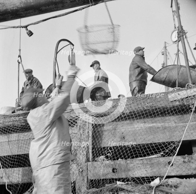 Dock stevedores at the Fulton fish market sending up baskets of fish..., New York, 1943. Creator: Gordon Parks.