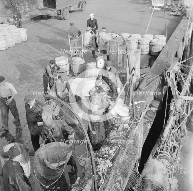 Dock stevedores at the Fulton fish market sending up baskets of fish..., New York, 1943. Creator: Gordon Parks.
