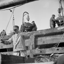 Dock stevedores at the Fulton fish market sending up baskets of fish..., New York, 1943. Creator: Gordon Parks
