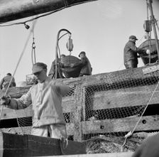 Dock stevedores at the Fulton fish market sending up baskets of fish..., New York, 1943. Creator: Gordon Parks