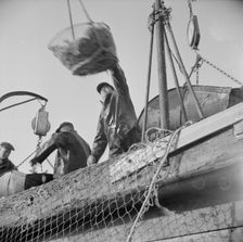 Dock stevedores at the Fulton fish market sending up baskets of fish..., New York, 1943. Creator: Gordon Parks