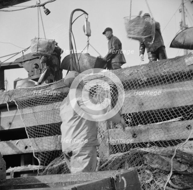 Dock stevedores at the Fulton fish market sending up baskets of fish..., New York, 1943. Creator: Gordon Parks.