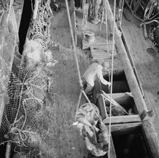 Dock stevedores at the Fulton fish market sending up baskets of fish..., New York, 1943. Creator: Gordon Parks