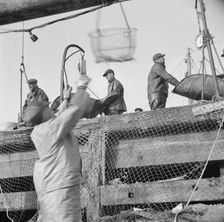 Dock stevedores at the Fulton fish market sending up baskets of fish..., New York, 1943. Creator: Gordon Parks